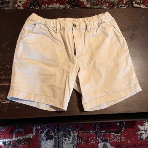 Chubbies Men’s Shorts - Medium
